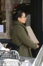 JORDANA BREWSTER Shopping at Gelson