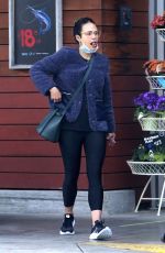 JORDANA BREWSTER Wearing Mask Out Shopping in Los Angeles 03/28/2020