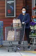 JORDANA BREWSTER Wearing Mask Out Shopping in Los Angeles 03/28/2020