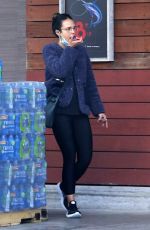 JORDANA BREWSTER Wearing Mask Out Shopping in Los Angeles 03/28/2020