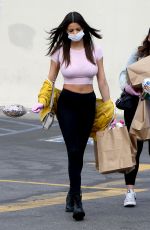 KATIE BELL Wearing a Mask and Gloves Out Shopping in Los Angeles 03/24/2020