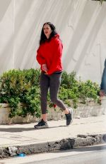 KRYSTEN RITTER Out Hiking in Los Angeles 03/17/2020