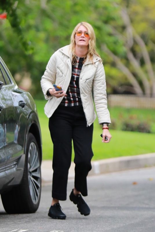 LAURA DERN Out in Los Angeles 03/22/2020