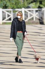 LAURA DERN Wears Mask and Gloves Out with Her Dog in Los Angeles 03/25/2020