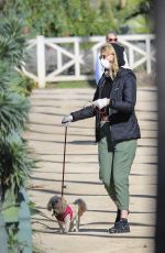 LAURA DERN Wears Mask and Gloves Out with Her Dog in Los Angeles 03/25/2020