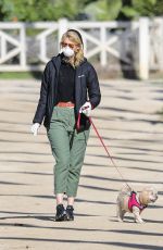 LAURA DERN Wears Mask and Gloves Out with Her Dog in Los Angeles 03/25/2020