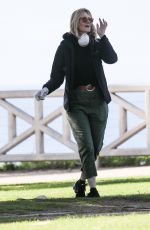 LAURA DERN Wears Mask and Gloves Out with Her Dog in Los Angeles 03/25/2020