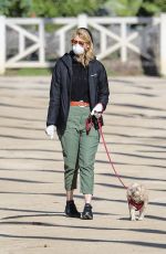 LAURA DERN Wears Mask and Gloves Out with Her Dog in Los Angeles 03/25/2020