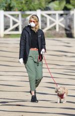 LAURA DERN Wears Mask and Gloves Out with Her Dog in Los Angeles 03/25/2020
