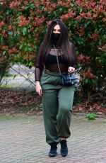 LAUREN GOODGER Wears Face Mask Out in Essex 03/20/2020
