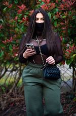 LAUREN GOODGER Wears Face Mask Out in Essex 03/20/2020