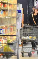 LUCY HALE Out at Grocery Shopping in Los Angeles 03/26/2020
