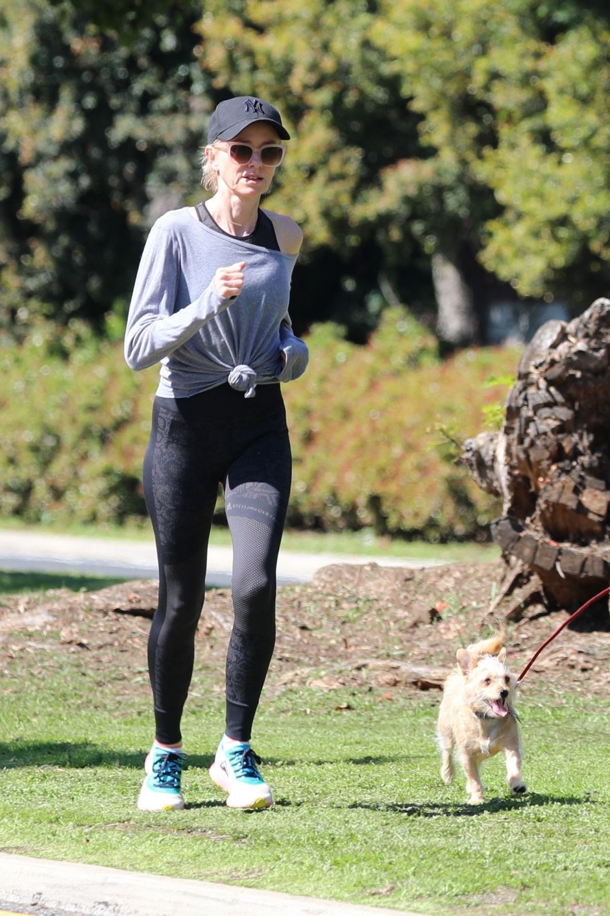 NAOMI WATTS and Liev Schreiber Out Jogging During Break from Quarantine ...