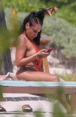 NIA GUZMAN in Swimsuit at a Beach in Tulum 03/20/2020