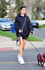NICOLE WILLIAMS and Larry English Out with Their Dogs in Los Angeles 03/26/2020