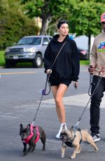 NICOLE WILLIAMS and Larry English Out with Their Dogs in Los Angeles 03/26/2020