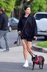 NICOLE WILLIAMS and Larry English Out with Their Dogs in Los Angeles 03/26/2020