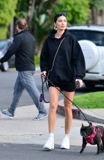 NICOLE WILLIAMS and Larry English Out with Their Dogs in Los Angeles 03/26/2020