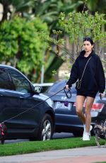 NICOLE WILLIAMS and Larry English Out with Their Dogs in Los Angeles 03/26/2020