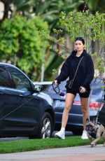 NICOLE WILLIAMS and Larry English Out with Their Dogs in Los Angeles 03/26/2020