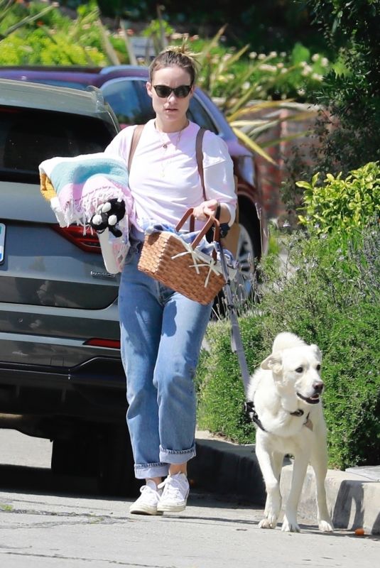 OLIVIA WILDE Out with Her Dog at a Park in Los Angeles 03/29/20