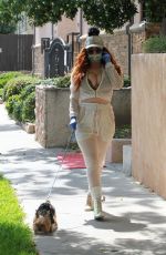 PHOEBE PRICE Out and About in Studio City 03/29/2020