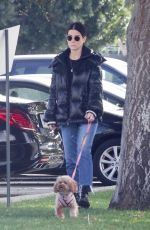 SANDRA BULLOCK Out with Her Dog in Van Nuys 03/01/2020