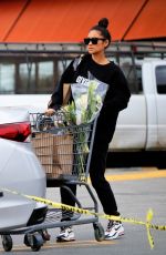 SHAY MITCHELL Out Stocking Up on Groceries in Los Angeles 03/16/2020
