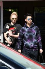 SOPHIE TURNER and Joe Jonas with Their Dog to Petco in Los Angeles 02/29/2020