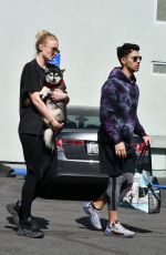 SOPHIE TURNER and Joe Jonas with Their Dog to Petco in Los Angeles 02/29/2020