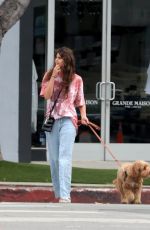 TAYLOR HILL and Daniel Fryer Out with Their Dog in West Hollywood 02/29/2020