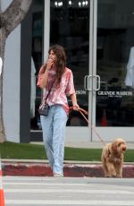 TAYLOR HILL and Daniel Fryer Out with Their Dog in West Hollywood 02/29/2020