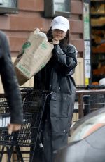 VANESSA HUDGENS at Grocery Shopping in Los Angeles 03/14/2020