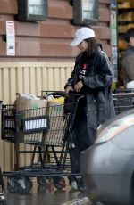 VANESSA HUDGENS at Grocery Shopping in Los Angeles 03/14/2020