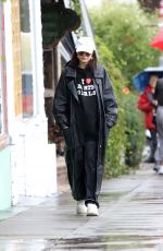 VANESSA HUDGENS at Grocery Shopping in Los Angeles 03/14/2020