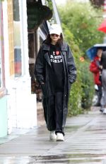 VANESSA HUDGENS at Grocery Shopping in Los Angeles 03/14/2020