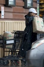 VANESSA HUDGENS at Grocery Shopping in Los Angeles 03/14/2020