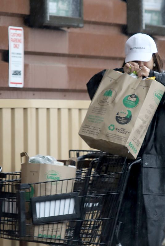 VANESSA HUDGENS at Grocery Shopping in Los Angeles 03/14/2020