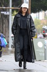 VANESSA HUDGENS Out and About in Los Angeles 03/13/2020