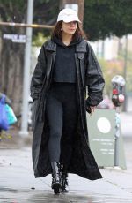 VANESSA HUDGENS Out and About in Los Angeles 03/13/2020