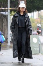 VANESSA HUDGENS Out and About in Los Angeles 03/13/2020
