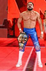 WWE - Elimination Chamber 2020