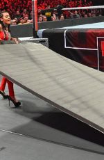 WWE - Elimination Chamber 2020