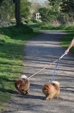 YAZMIN OUKHELLOU in Tights Out with Her Dogs in Harlow 03/27/2020