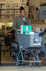 ZENDAYA COLEMAN Leaves a Grocery Store in Los Angeles 03/17/2020