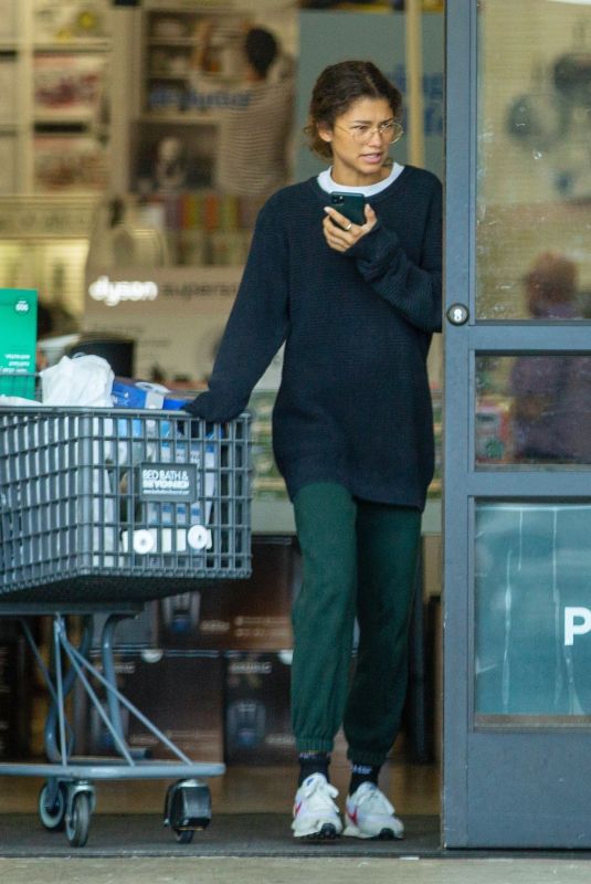 ZENDAYA COLEMAN Leaves a Grocery Store in Los Angeles 03/17/2020