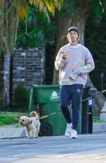 ABBY CHAMPION and Patrick Schwarzenegger Out with Their Dog in Pacific Palisades 04/22/2020
