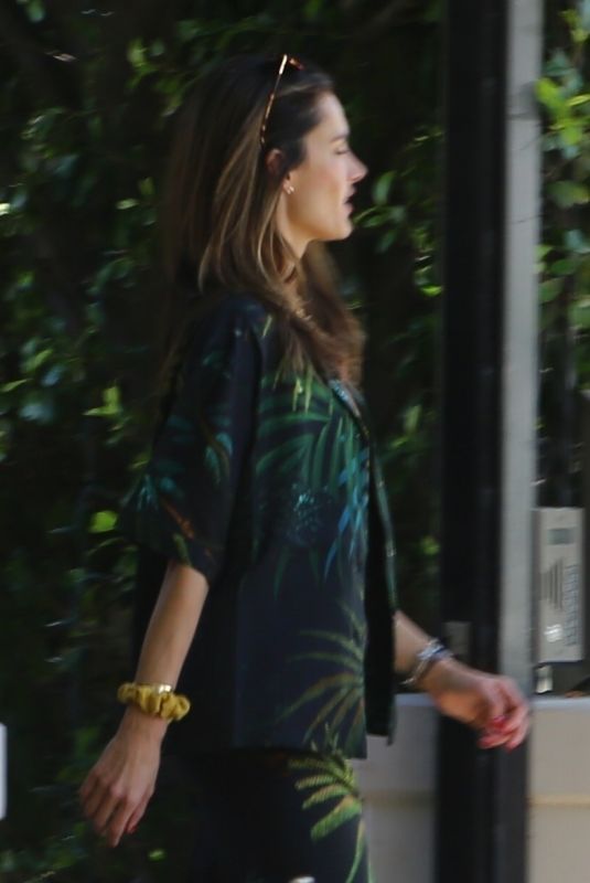 ALESSANDRA AMBROSIO at Her 39th Birthday Celebration in Santa Monica 04/11/2020