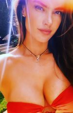 ALESSANDRA AMBROSIO in Bikini - Instagram Photos and Video 04/25/2020
