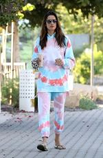 ALESSANDRA AMBROSIO Out and About in Malibu 04/26/2020